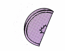 cropped cropped orgr.png